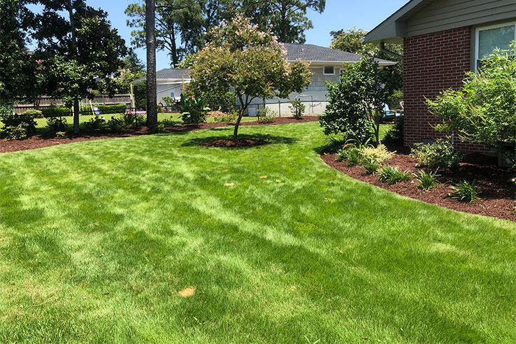 A beautiful and lush green lawn by Long Leaf Organics.